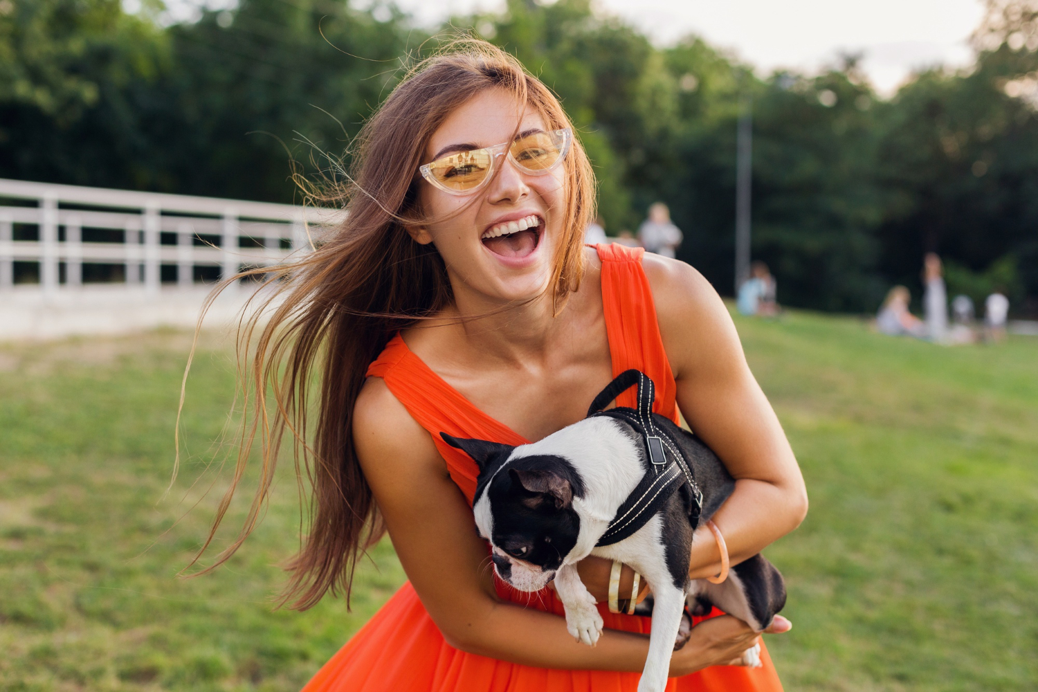Pet insurance in Spain